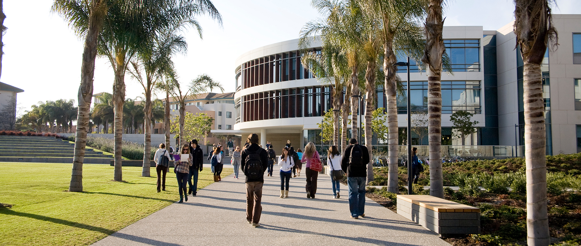 Students walking down a palm-lined walkway in front of Hannon library.